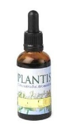 Dandelion Extract 50 ml Maese Herbario