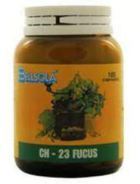 Ch23 Fucus 100Comp