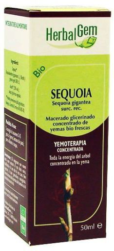 Sequoia Glycerinated Macerate 50 ml