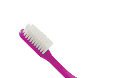 Classic Brush Medium