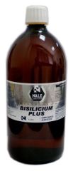 Bisilicum Plus 1L