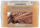 Natural Cinnamon Soap 100 gr
