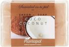 Natural Coconut Soap 100 gr