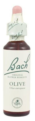 Original Flower Essences Bash 12 Gentian 20 ml