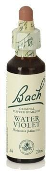 Original Flower Essences Bach 34 Water Violet 20 ml