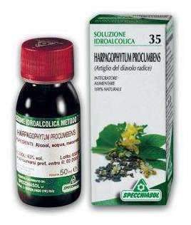 Devil's Claw (Harpagophytum Procumbens) 50 ml