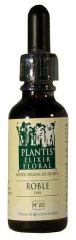 Plantis 22 Oak 30 ml