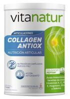 Collagen Antiox Plus 360 gr