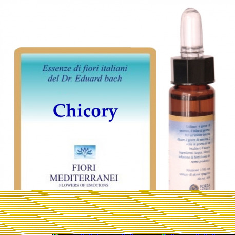 Fm 8 Chicory 10 ml