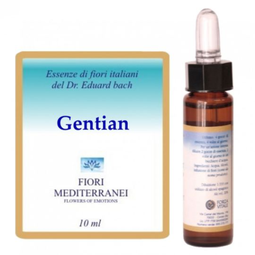 Fm 12 Gentian 10 ml