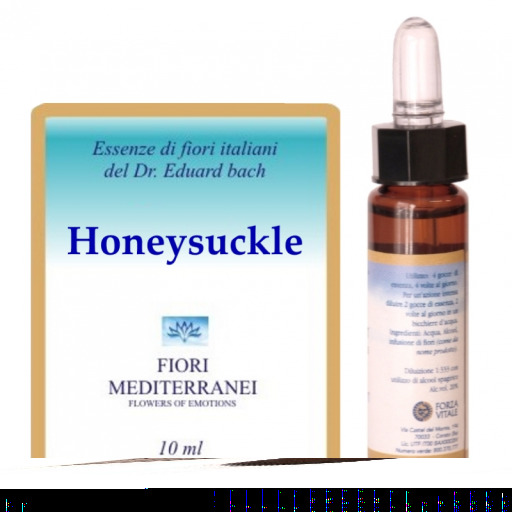 Fm 16 Honeysuckle 10 ml