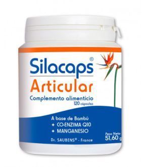 Labo Sante Silice Silacaps Joint 120 capsules