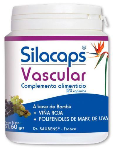 Labo Sante Silice Silacaps Vascular 120 capsules