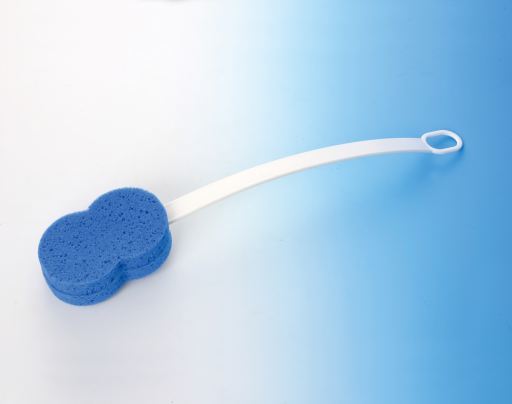 Garcia 1880 Brush with Sponge Recto