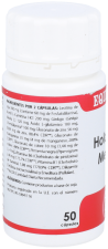 Holomega Memory Capsules