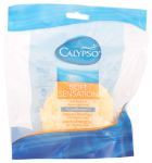 Calypso Body