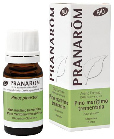 Aceite Esencial Pino Mar&iacute;timo Trementina
