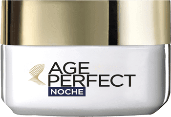 L'Or&eacute;al Paris Age Perfect Classic Night Cream Mature Skins 50 ml