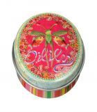 Tin lipbalm Flying Frog-Strawberry