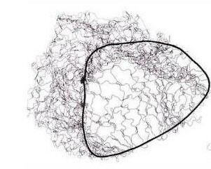 Black Bow Net