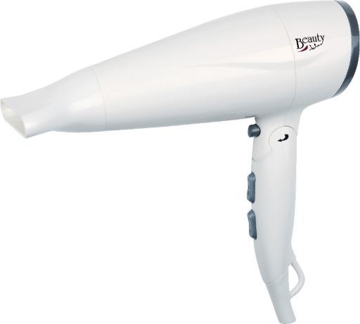 Folding Hair Dryer SC50B