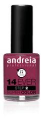 Nail Polish 14 Ever