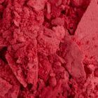 Blush Flamingo Blush