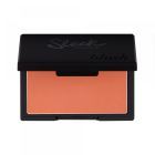 Blush Flamingo Blush