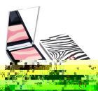 Phyto Blush eclat Blush Compact Duo