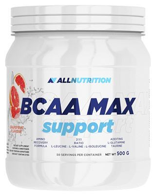 BCAA Max support cola 500 g