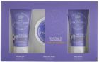 Healing In Harmony Gift Set