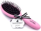 Ladybird Hairbrush