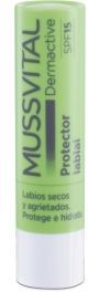 Natural Lip Balm 4 g