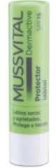 Natural Lip Balm 4 g