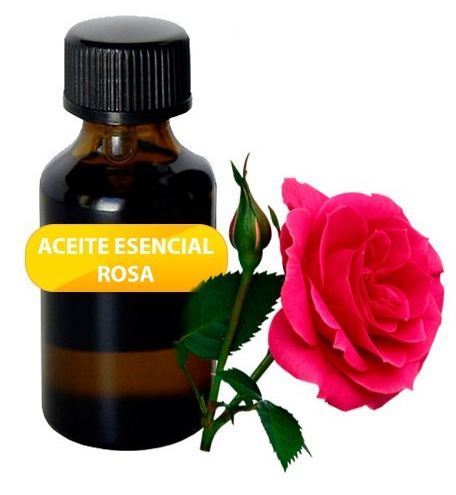 Rose Essential Oil 20 ml