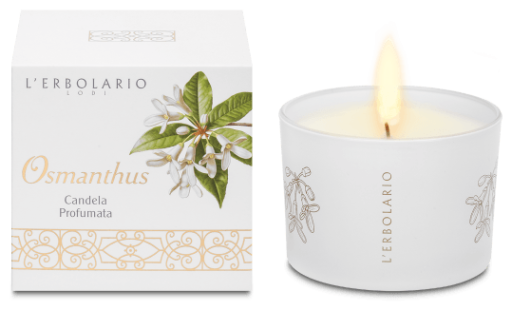Vela Osmanthus