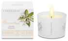 Vela Osmanthus