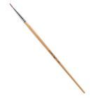 Professional Eye Brush