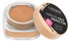 1 Minute Face Perfector Multi-Tone Mousse