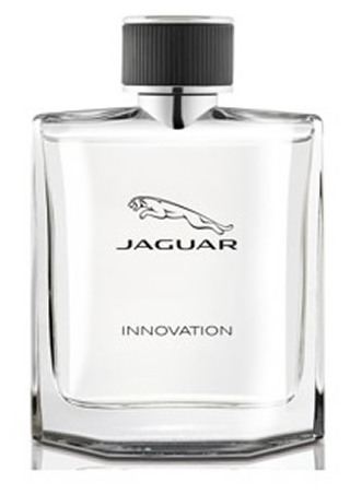 Innovation Man Edt Spray 100 ml