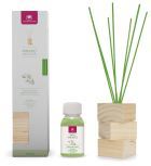 Kit NW Lady by night