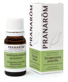Yellow Immortelle Essential Oil Yellow Immortelle Essential Oil