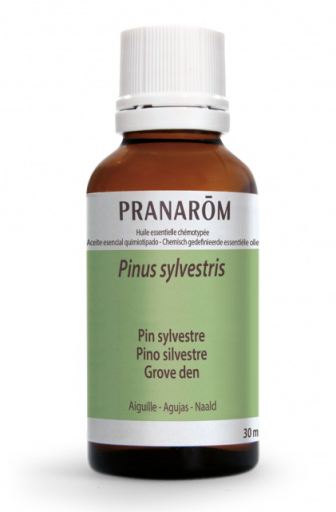 Pranarom Scots Pine Essential Oil