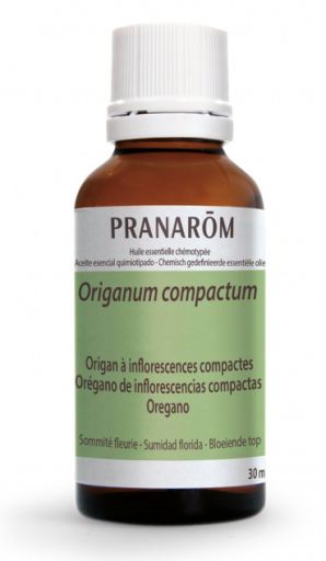 Aceite Esencial Or&eacute;gano de Inflorescencias Compactas