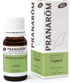 Cajeput Essential Oil 10 ml Cajeput Essential Oil 10 ml