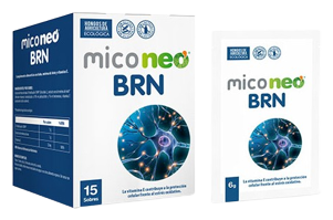 MicoNeo BRN 15 Envelopes
