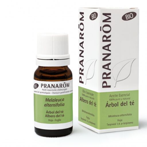 Pranarom Organic Tea Tree Essential Oil