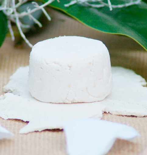 Nitx Nutritive Solid Shampoo 80 gr