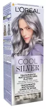 Cool Silver Platinum Grey Toning Treatment