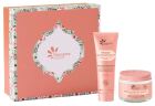 3-Piece Radiance Nutrition Set